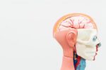 AAV and nervous system