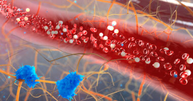 complement system and AAV