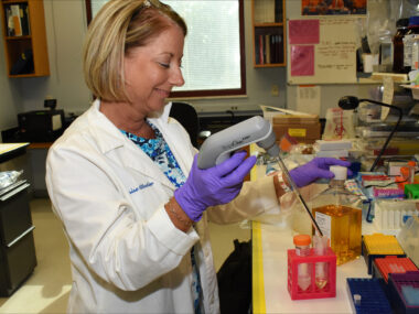 gene therapy work