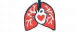 An illustration of a person's respiratory system and heart.
