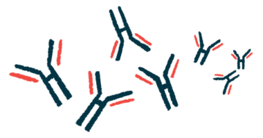 An illustration gives a close-up look at a group of antibodies that provoke an immune system reaction.