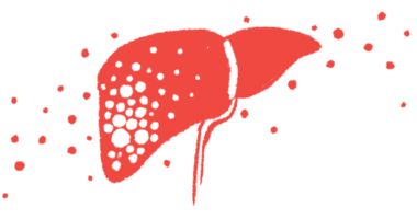 An illustration provides a close-up look at a human liver.