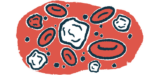A cluster of red and white blood cells is shown in this illustration.