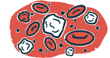 A cluster of red and white blood cells is shown in this illustration.