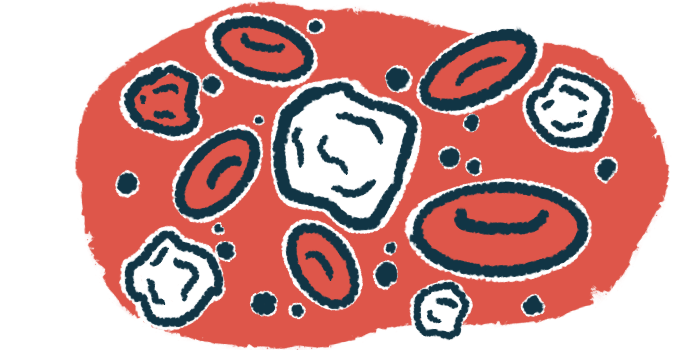 A cluster of red and white blood cells is shown in this illustration.