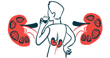 An illustration focusing on the kidneys of a person, shown from the back while drinking from a glass.