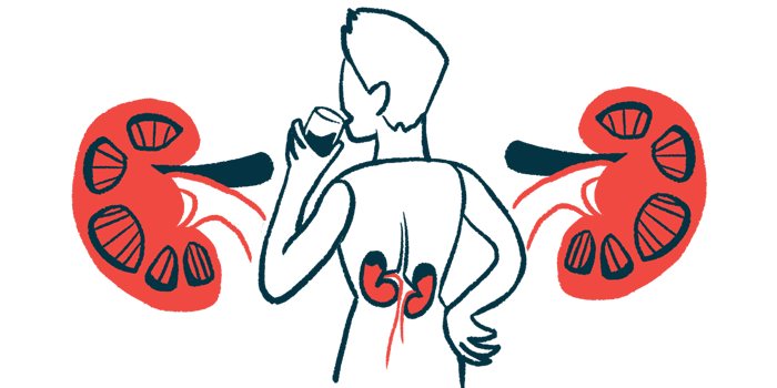 An illustration focusing on the kidneys of a person, shown from the back while drinking from a glass.