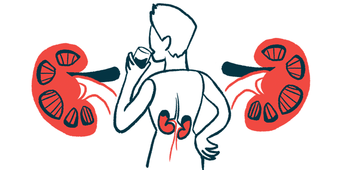 The kidneys are highlighted in this illustration of a man drinking a glass of water.